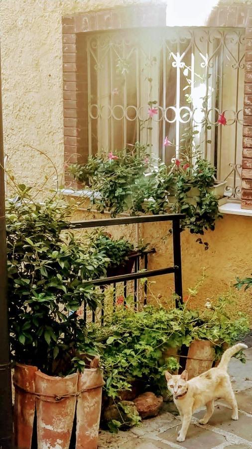 Le Origini Casa In Borgo Tipico Lucano Trivigno Bagian luar foto