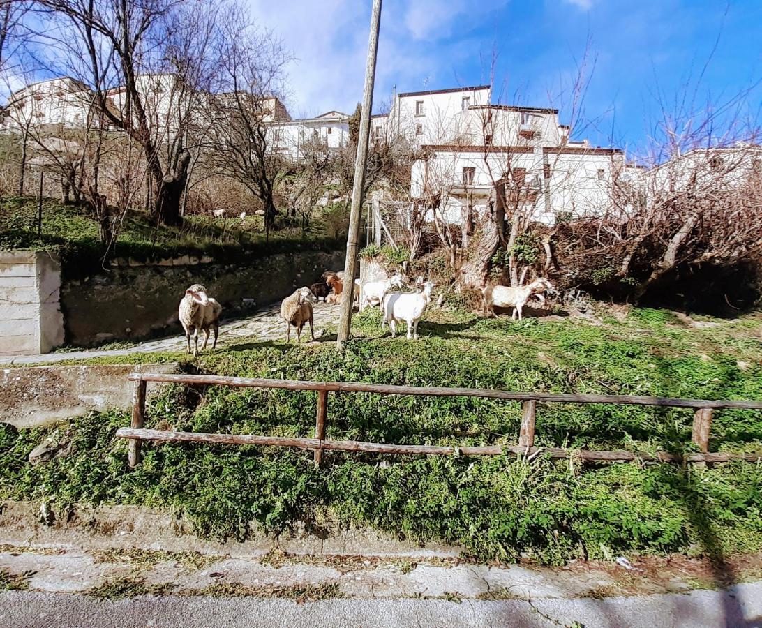 Le Origini Casa In Borgo Tipico Lucano Trivigno Bagian luar foto